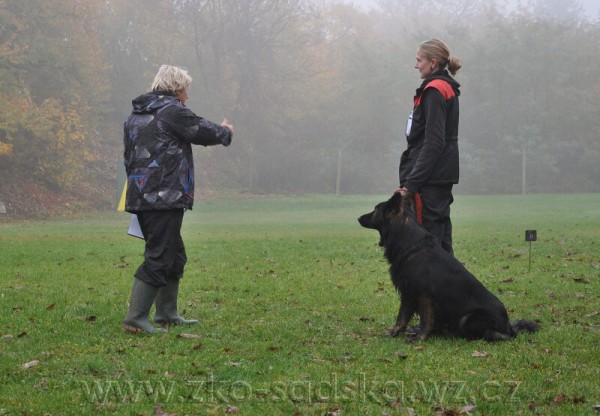 Zvod o pohr msta Sadsk 20.10.2012